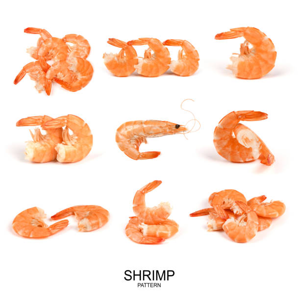 istock Creative layout made of shrimp isolated on white. 1337268590
