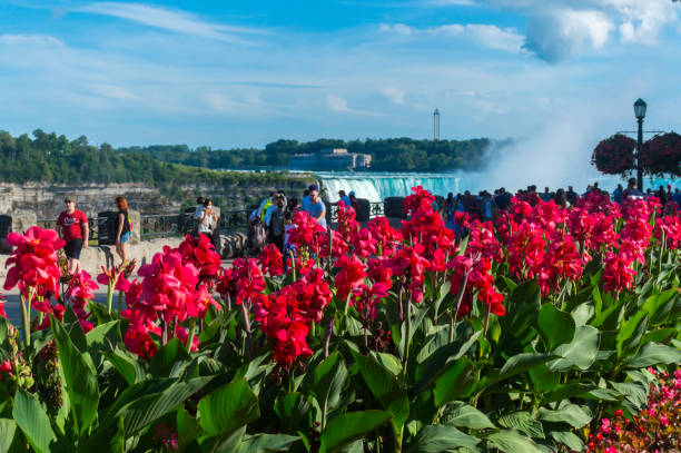 Niagara Falls: Niagara Falls is the collective name for three waterfalls that straddle the international border between Canada and the United States; more specifically, between the province of Ontario and the state of New York. They form the southern end of the Niagara Gorge.