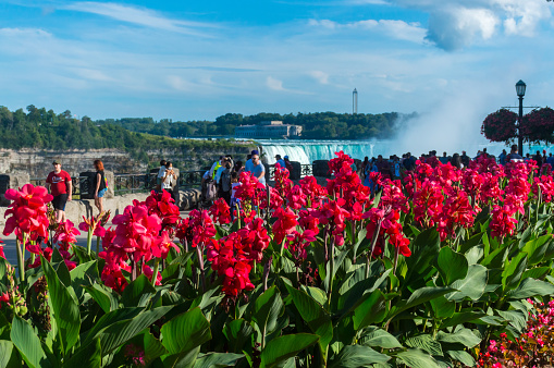 Niagara Falls, Canada - August 14, 2022: Many people looking to the Niagara Falls in Canada.