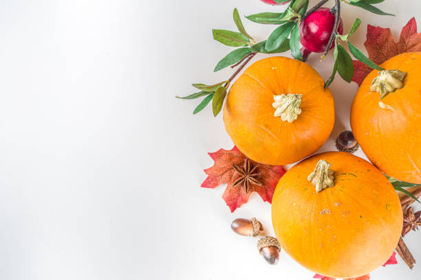 istock Autumn composition with pumpkins and spices 1337275646