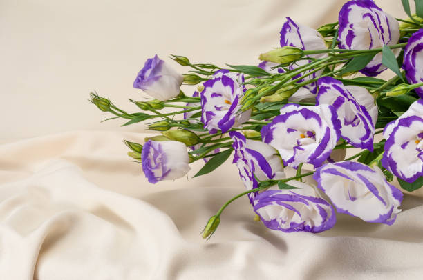 istock delicate blue flowers on an ivory fabric background 1337277642
