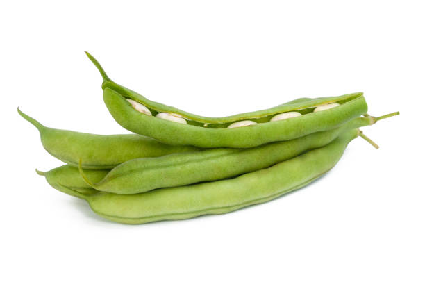 vainas de frijol verde maduro fresco aisladas sobre fondo blanco - bean pod fotografías e imágenes de stock