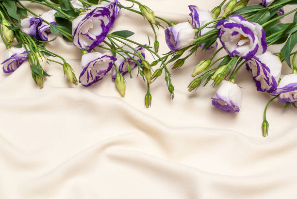 istock delicate blue flowers on an ivory fabric background 1337277678