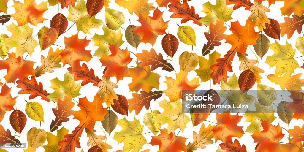 Autumn Vector Seamless Background Stock Illustration - Download Image ...