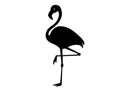 Vector illustration of pink flamingos on a white background.