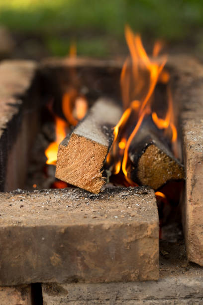 istock Bonfire fire in the evening, quiet and warm 1337281322
