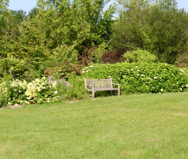 istock Empty Park Bench in the Garden 1337281841