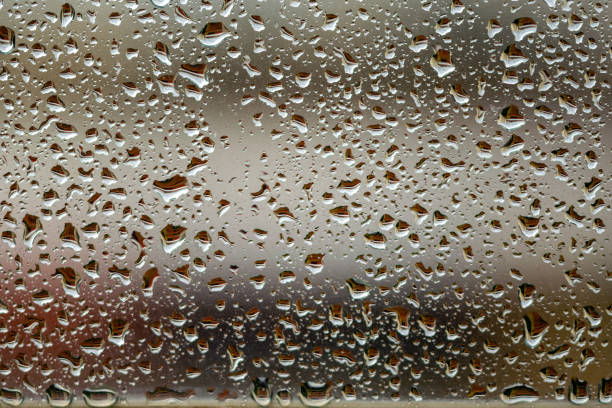 janela coberta de chuva estilo prata - cold rain parasol gray - fotografias e filmes do acervo