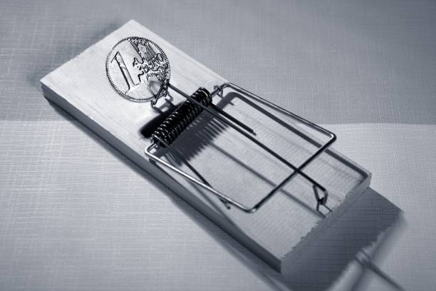 istock Credit money is a mouse trap 1337284365