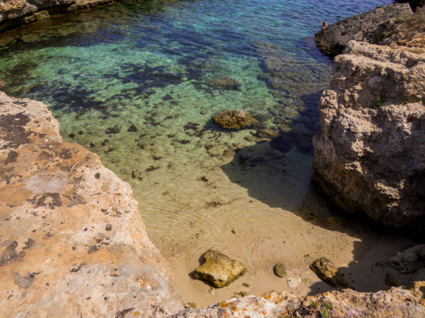 istock Cala di Torre Cintola, Monopoli, Italy 1337286394