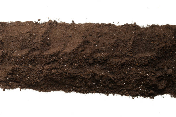 istock Black land for plant isolated on white background. Frame. 1337287786