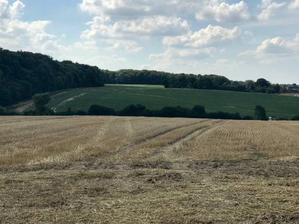 istock Scenic German agriculture 1337287970