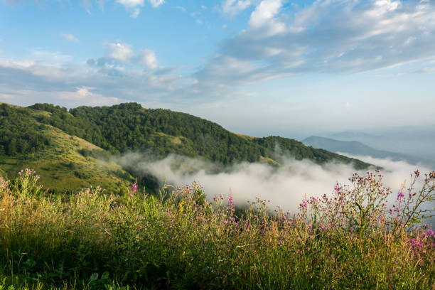 Mountain peaks in the clouds. Panoramic view. Green mountains and beautiful sky clouds under the blue sky. Spring morning at mountains and clouds.