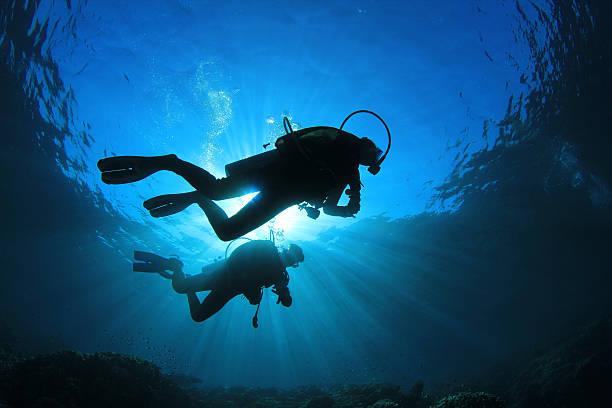 pareja de buceo - buceo con equipo fotografías e imágenes de stock