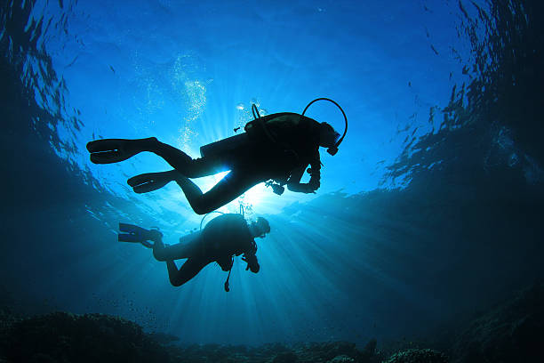 Two people scuba diving with sunlight from above Two scuba divers silhouetted against the sun while they explore a coral reef underwater diving stock pictures, royalty-free photos & images
