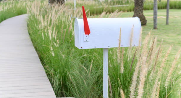 boîte aux lettres en métal blanc ou côté boîte aux lettres d’un chemin en bois avec des fleurs d’herbe - mailbox mail box side view photos et images de collection