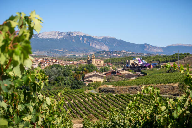 View of Eltziego town in the Rioja alavesa at summer, rounded by vineyards and the winery of the Marques de Riscal View of Eltziego in the Rioja alavesa at summer, rounded by vineyards and the winery of the Marques de Riscal rioja photos stock pictures, royalty-free photos & images
