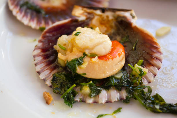istock Variegated scallop ready to eat 1337292140