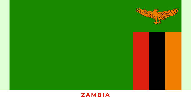 stockillustraties, clipart, cartoons en iconen met the national flag of zambia flag. vector illustration of zambia flag, vector of zambia flag. - afrika afrika