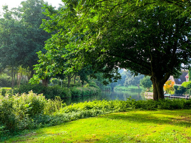 istock Saturday in the Park 1337292363