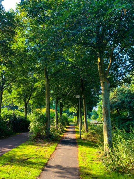 istock Saturday in the Park 1337292371