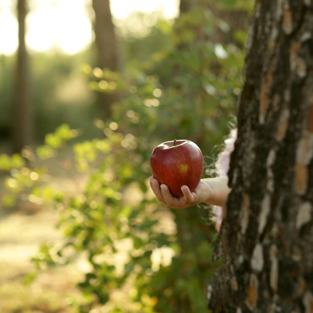 istock Fantasy girl holding a red apple in the forest 1337294642