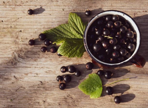 istock black currants in a mug and sprinkled on a wooden table with a place for text 1337295090