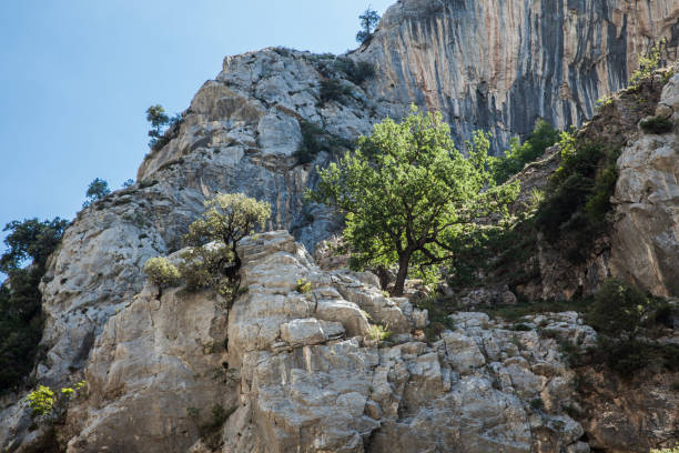 istock rocky landscape on the cares route 1337297901