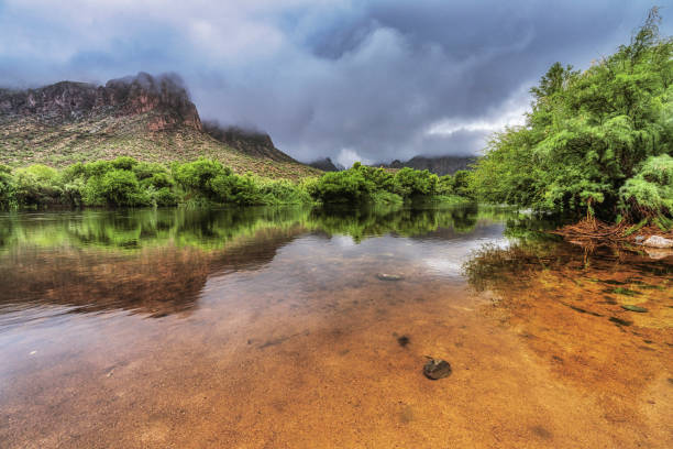 Salt River The Salt River as it flows through the Sonoran Desert near Phoenix, Arizona. river salt stock pictures, royalty-free photos & images