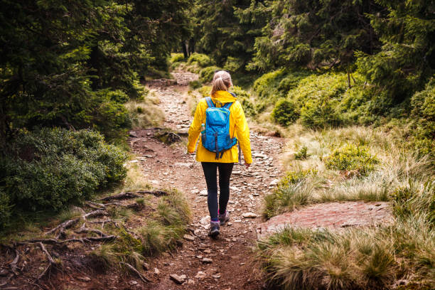 istock Solo hiker walking on trekking trail in forest 1337302880