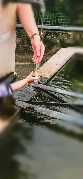 istock One big hand and one small hand on the fountain 1337304299