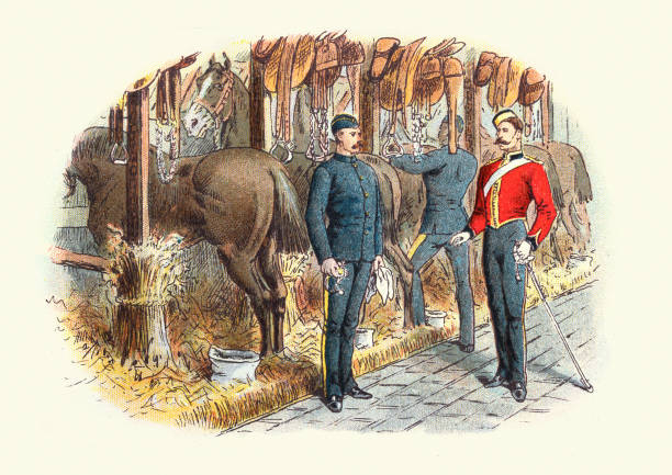 oficer insektywujący żołnierzy w stajniach kawalerii, wiktoriańskie brytyjskie wojsko 19 wieku - warhorse stock illustrations