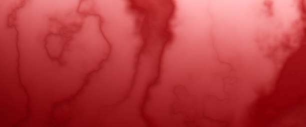 vasos sanguíneos del cuerpo, de cerca. el vaso sanguíneo rojo de un ser humano. concepto de medicina y anatomía. la textura de los vasos sanguíneos, representación 3d. - cuerpo de animal fotografías e imágenes de stock