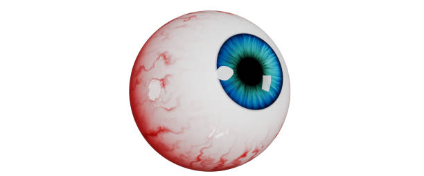 istock Realistic human eye isolated on a white background. Realistic bloody eyeball, 3d render. 3d illustration for Halloween 1337307372