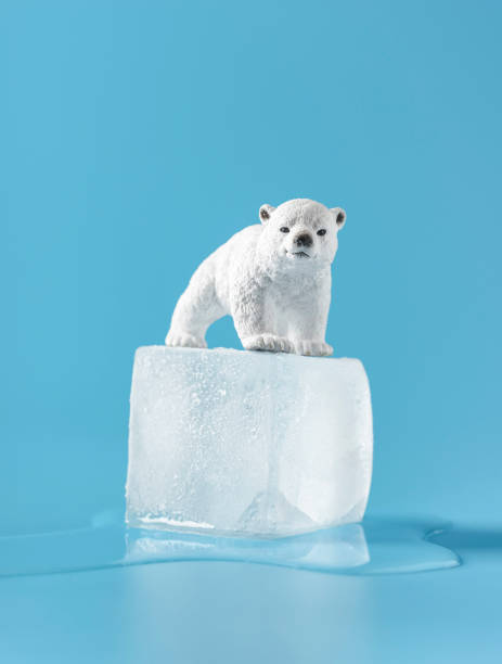 istock Global warming concept. Ice cube melting on a blue background. 1337307551