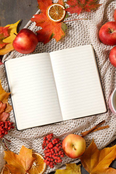 istock Autumn mood flat lay with notebook, fallen leaves, red berries, apples and warm knitted blanket. Autumn holidays, thanksgiving day, home weekend. Flat lay, top view, copy space. 1337307700