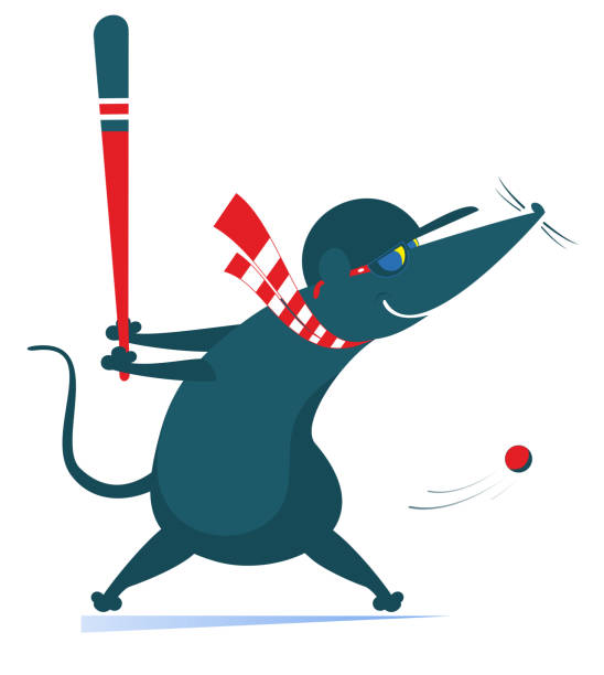 Baseball batter rat or mouse hitting pitch illustration Cartoon baseball hitter rat or mouse swinging at a fast pitch isolated on white opossum silhouette stock illustrations