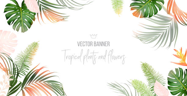 Tropical banner arranged from exotic pink leaves. Tropical banner arranged from exotic pink leaves. Paradise plants, greenery, flower and palm card. Stylish fashion frame. Sunset orange light. Wedding design. Leaves are not cut. Isolated and editable tropical elegance stock illustrations