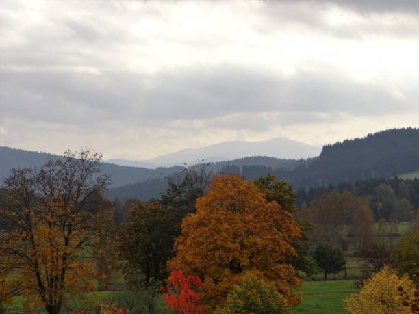 istock Bavarian Forest National Park 1337316224