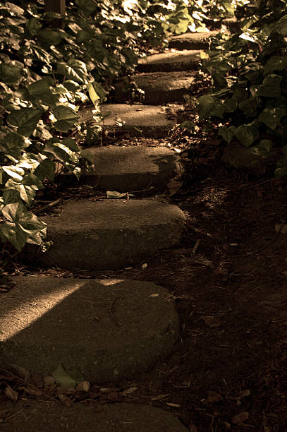 istock Stepping Stones In Morning Light 133731666