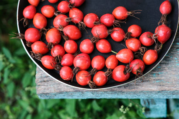 istock Ripe large rose hips in a dark plate. 1337319285