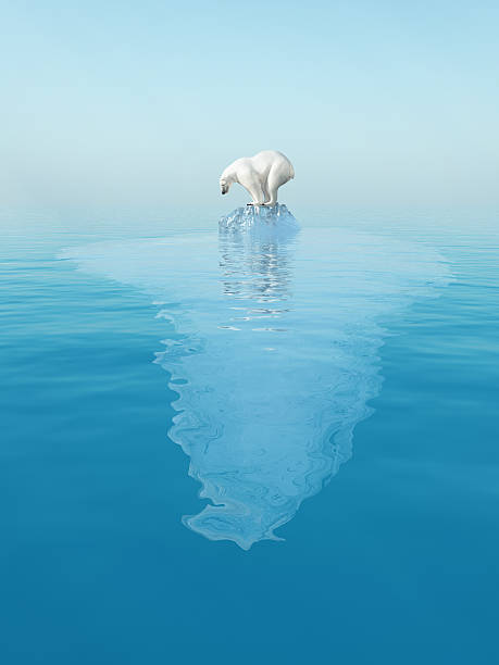 letzte polar bear auf eisberg - polar bear arctic global warming nature stock-fotos und bilder