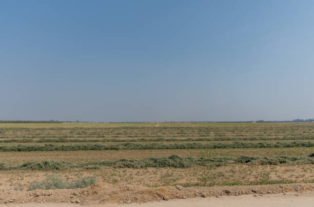 istock Farming in the San Joaquin valley, Central California 1337323152
