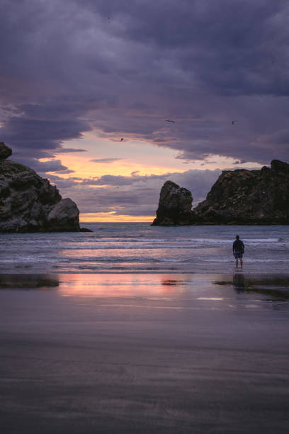 hombre a orillas de la playa viendo la puesta de sol. castle point, nueva zelanda - castlepoint fotografías e imágenes de stock