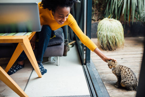 istock Happy African American woman working from home using a laptop 1337325742