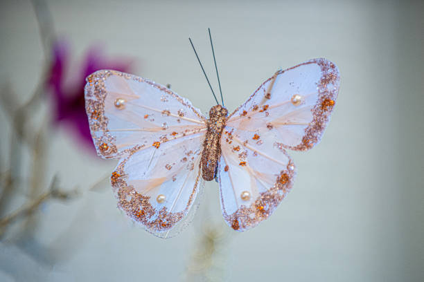 Artificial gold and white butterfly  with gems and stones