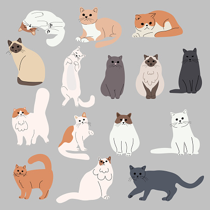 Collection of cute baby cats cartoon hand drawn style. Collection of cat characters, flat illustration for design, decor, print, stickers, posters. Vector illustration isolated on a white background.