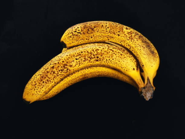 istock Closeup of spotted bananas on black background 1337338958