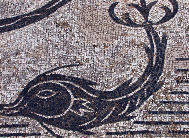 istock Archaeological site of  Volubilis in Morocco 1337339743