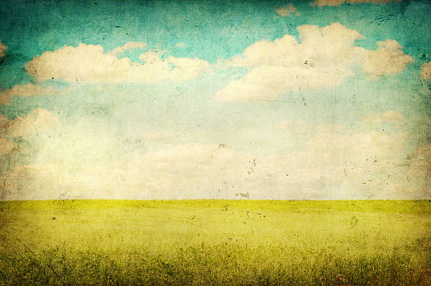 istock grunge image of green field and blue sky 133733980